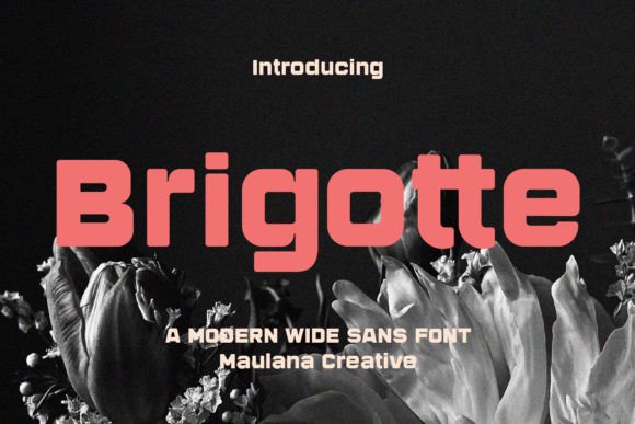 Brigotte: A Modern Sans Serif Font with Creative Flair for Makers and Sellers
